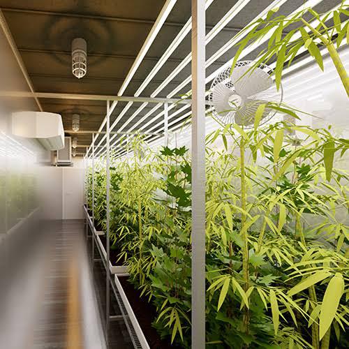grow-house-container grow-house-container